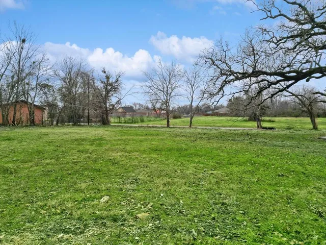 a view of a park with large trees