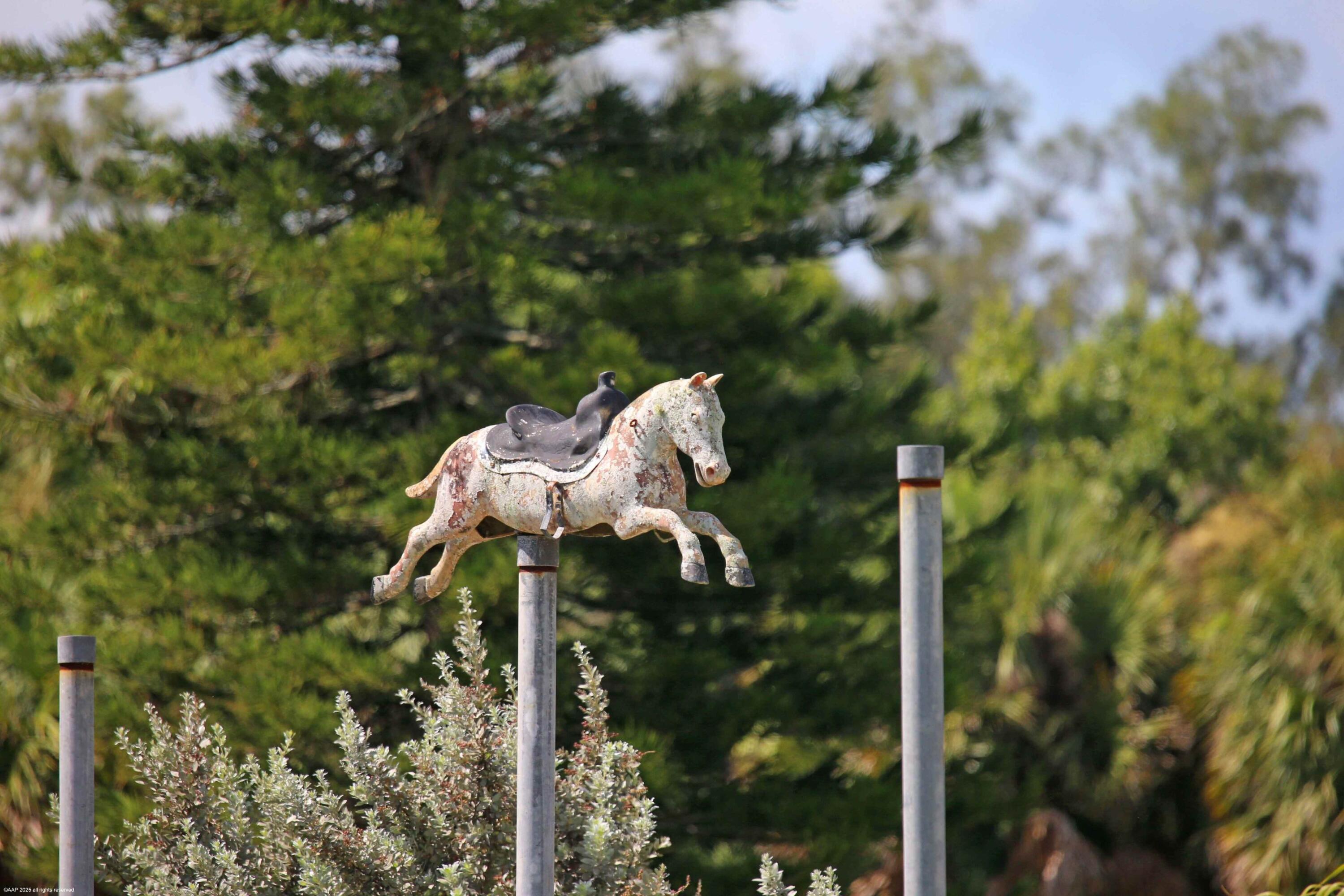 2761 E Road Loxahatchee Groves, FL 33470 - Photo 15 of 20 a backyard of a house with a table and chairs
