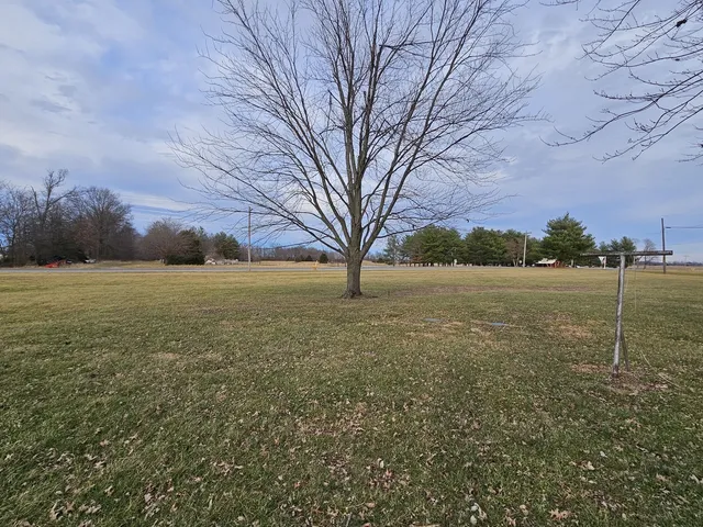 a view of outdoor space with green field and trees