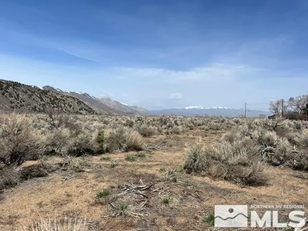 a view of a dry field with mountains in the background