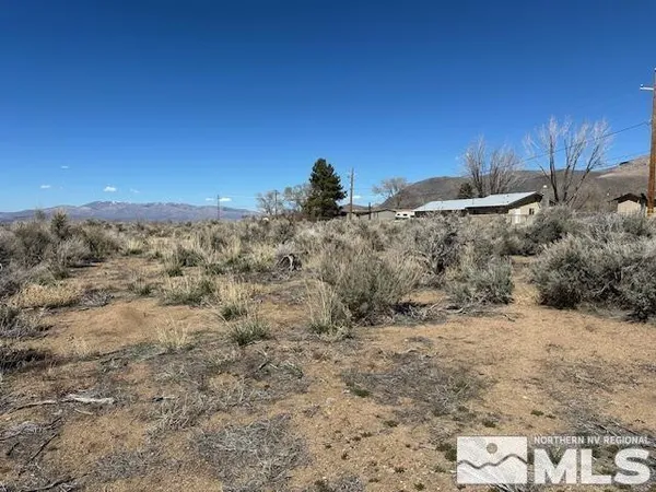 a view of a dry yard with trees
