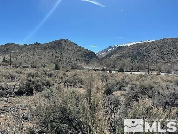 a view of mountain and trees in the background