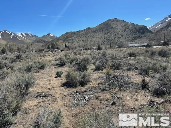 a view of a dry yard with mountains in the background
