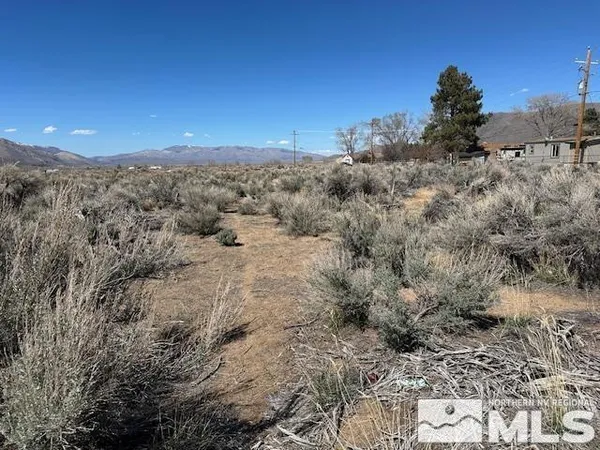 a view of a dry yard with mountains in the background