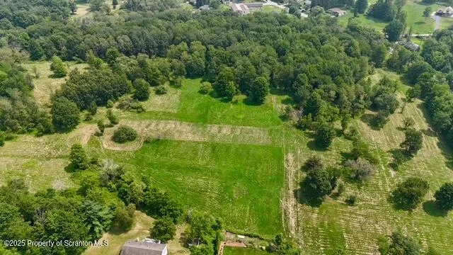 a view of a green yard with large trees