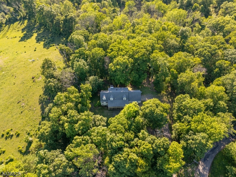 12 Sharrer Road Flemington, NJ 08822 - Photo 4 of 46