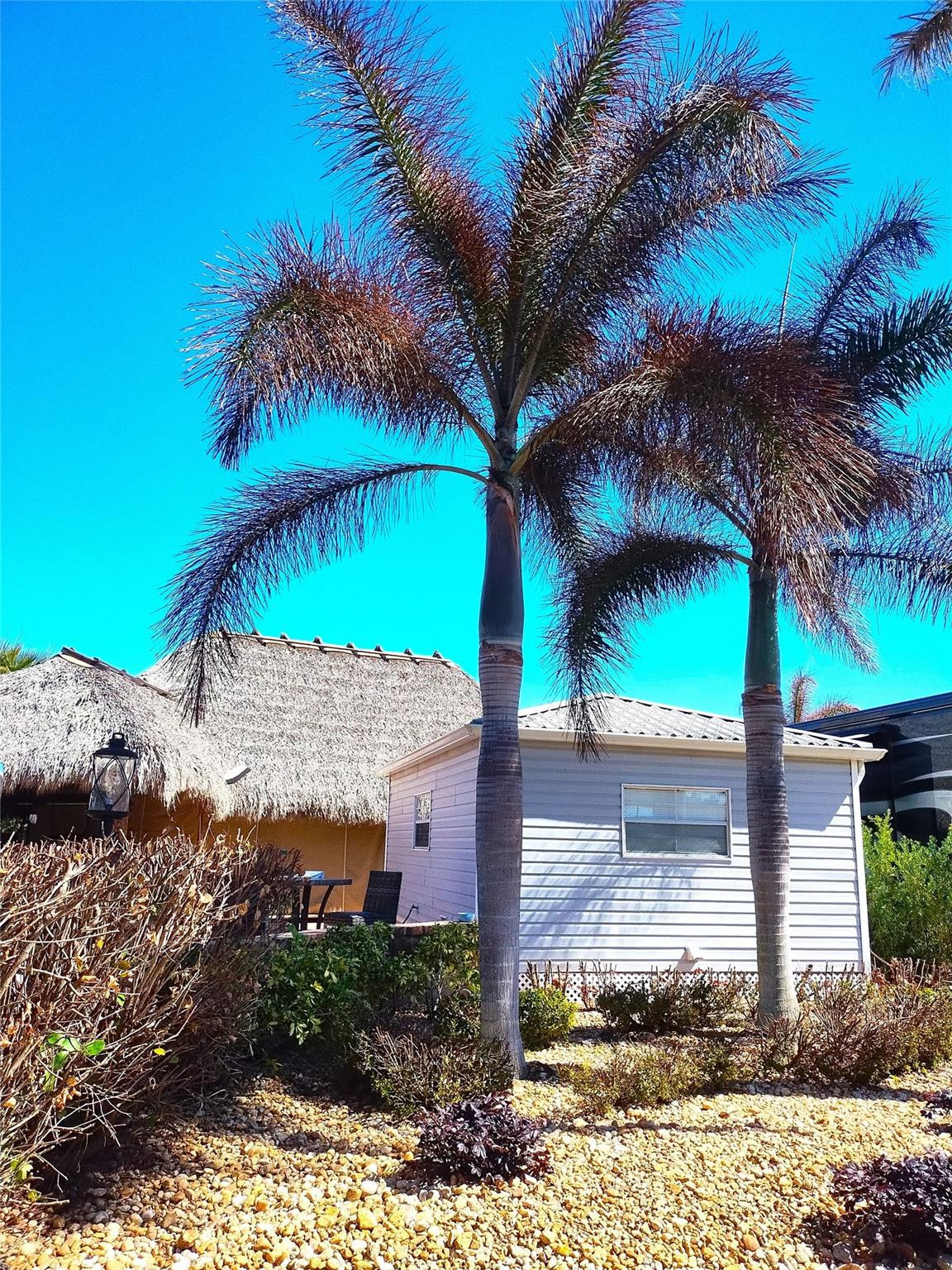 3720 Southwest 7th Manor Okeechobee, FL 34974 - Photo 5 of 45 Photo 5