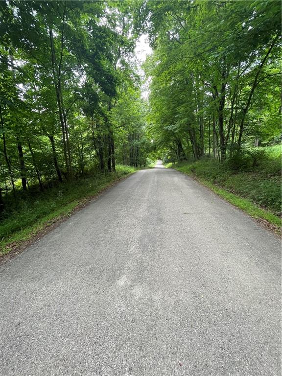 0 Greenlee Road Polk, PA 16342 - Photo 2 of 5 a view of a forest with trees in the background