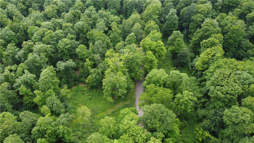 0 Greenlee Road Polk, PA 16342 - Photo 4 of 5 an aerial view of residential house with outdoor space and trees all around