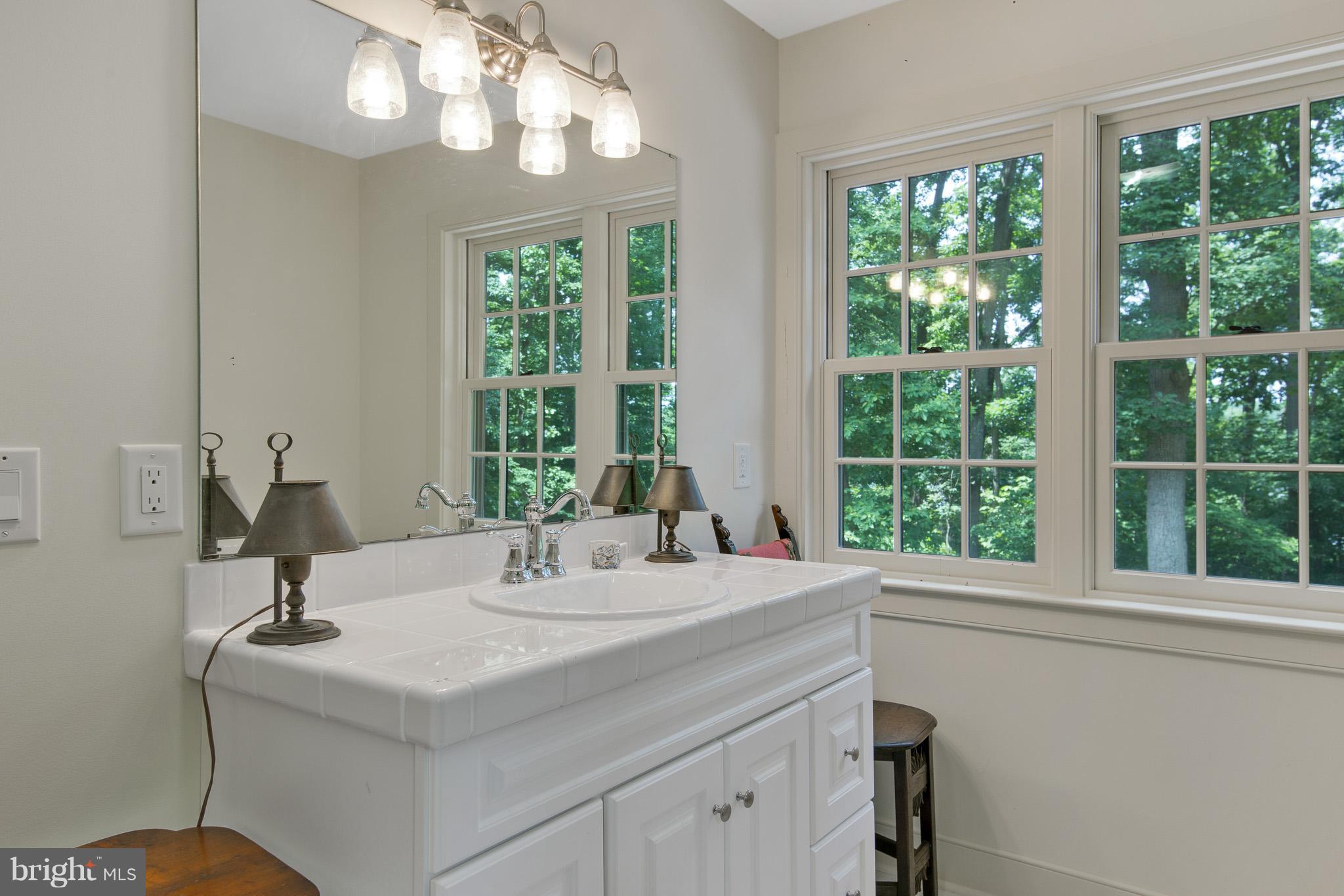 191 Middleneck Road Warwick, MD 21912 - Photo 16 of 30 Bath (Master)