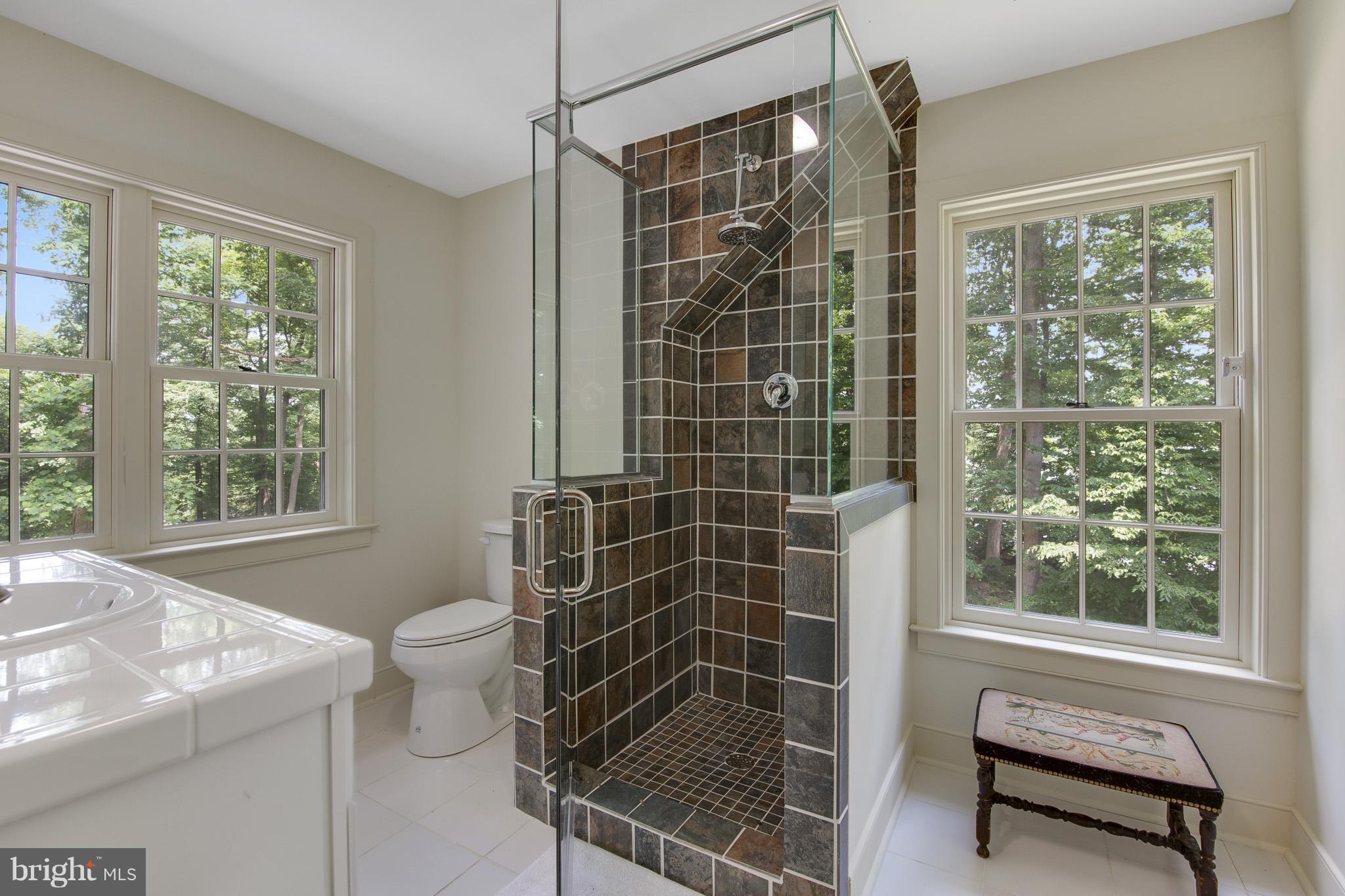 191 Middleneck Road Warwick, MD 21912 - Photo 17 of 30 Bath (Master)