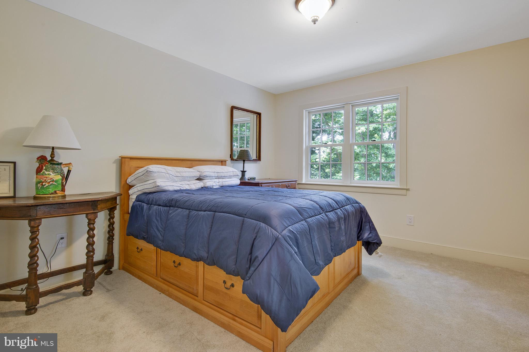 191 Middleneck Road Warwick, MD 21912 - Photo 18 of 30 Bedroom (Master)