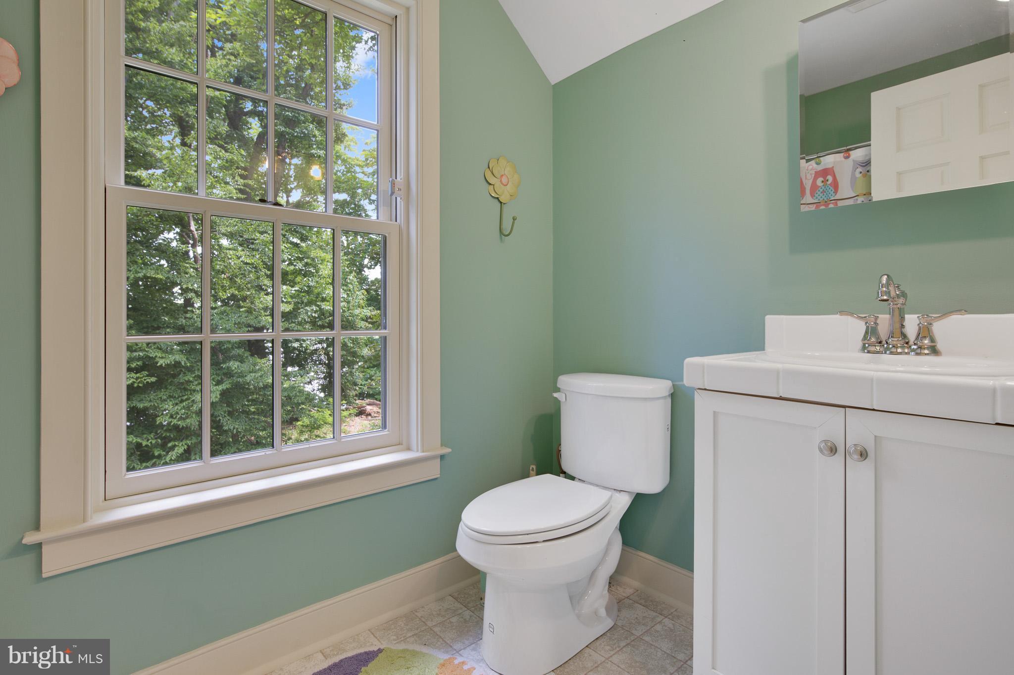191 Middleneck Road Warwick, MD 21912 - Photo 19 of 30 2nd Floor Full Bath