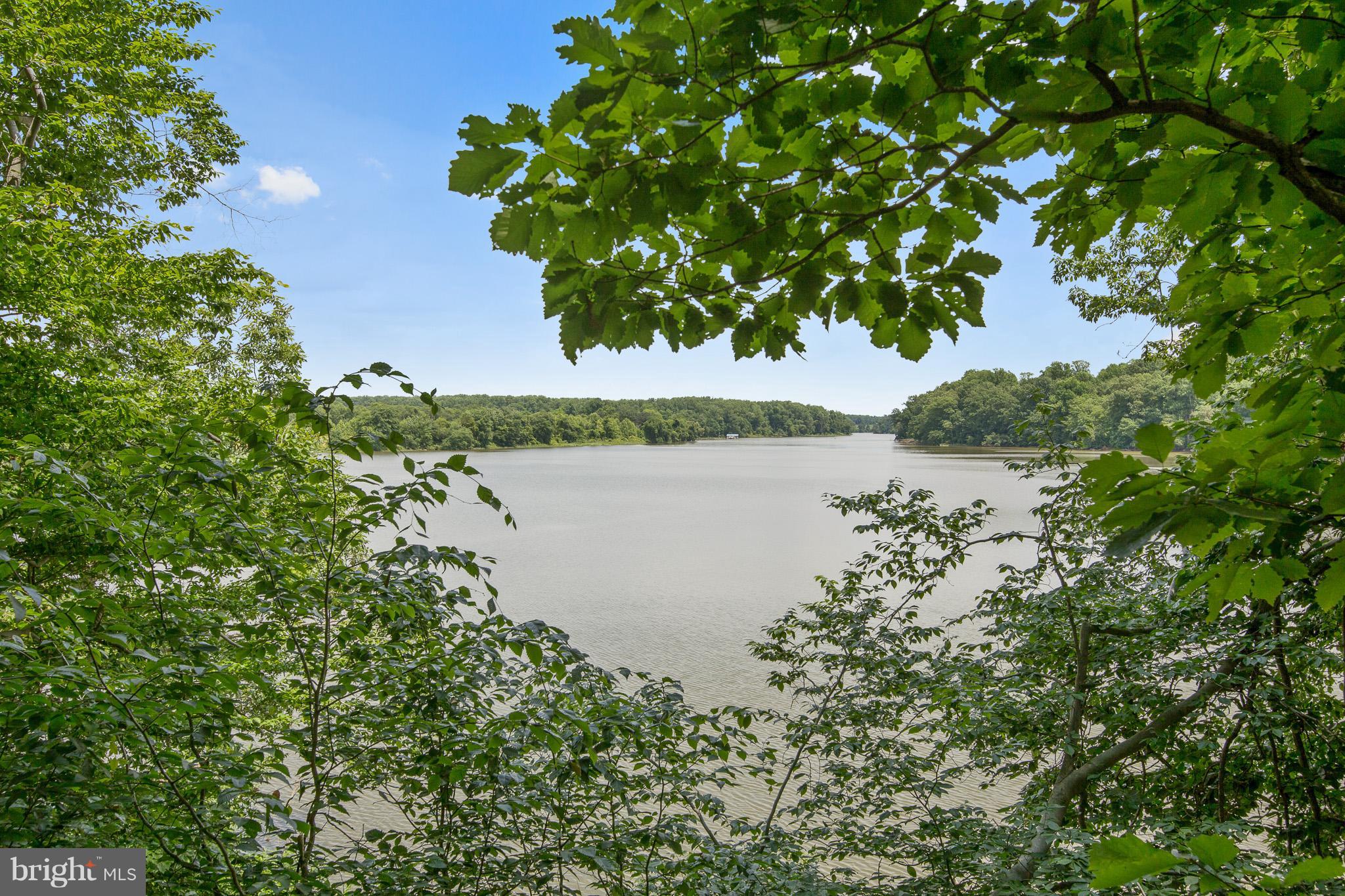 191 Middleneck Road Warwick, MD 21912 - Photo 9 of 30 View of the Bohemia River from the property