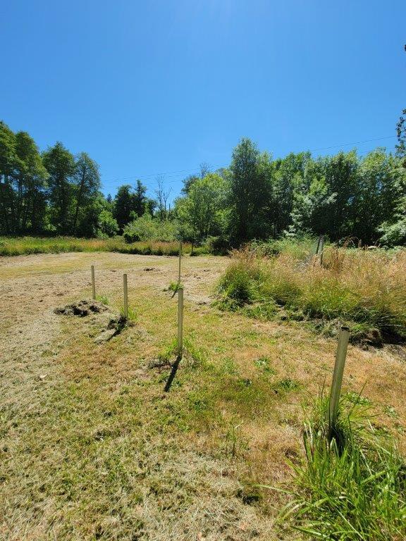 1585 Rockydale Road Cave Junction, OR 97523 - Photo 27 of 33 20220708_111135