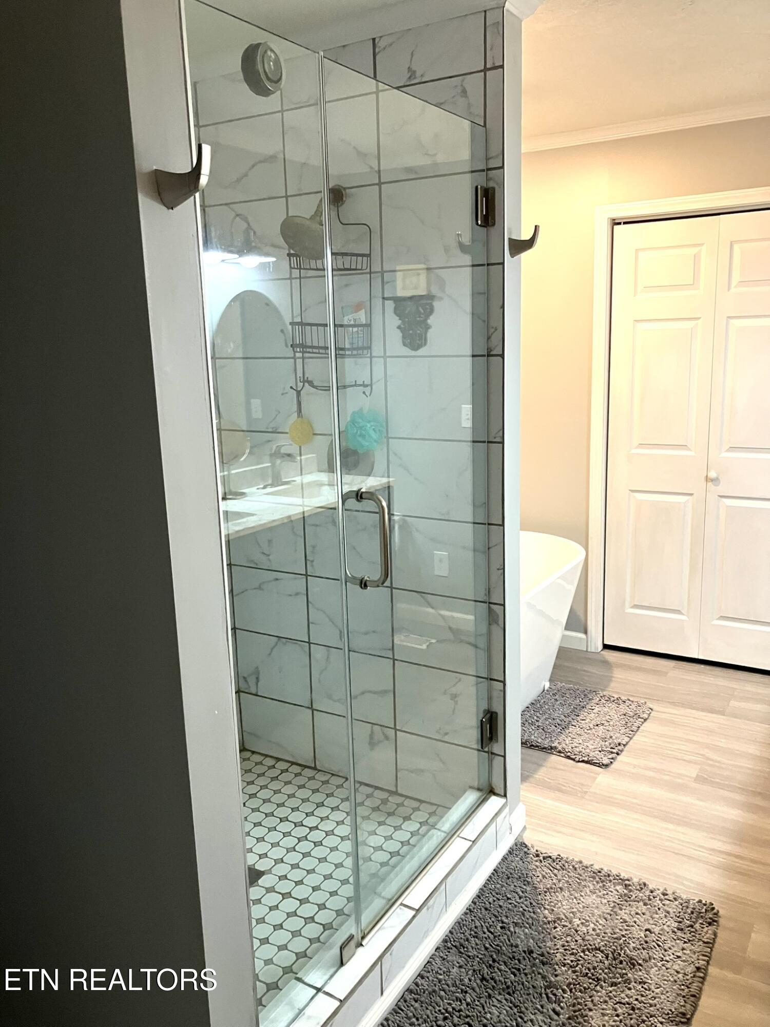 2712 Tinchtown Road Jamestown, TN 38556 - Photo 16 of 34 Master Bedroom Shower