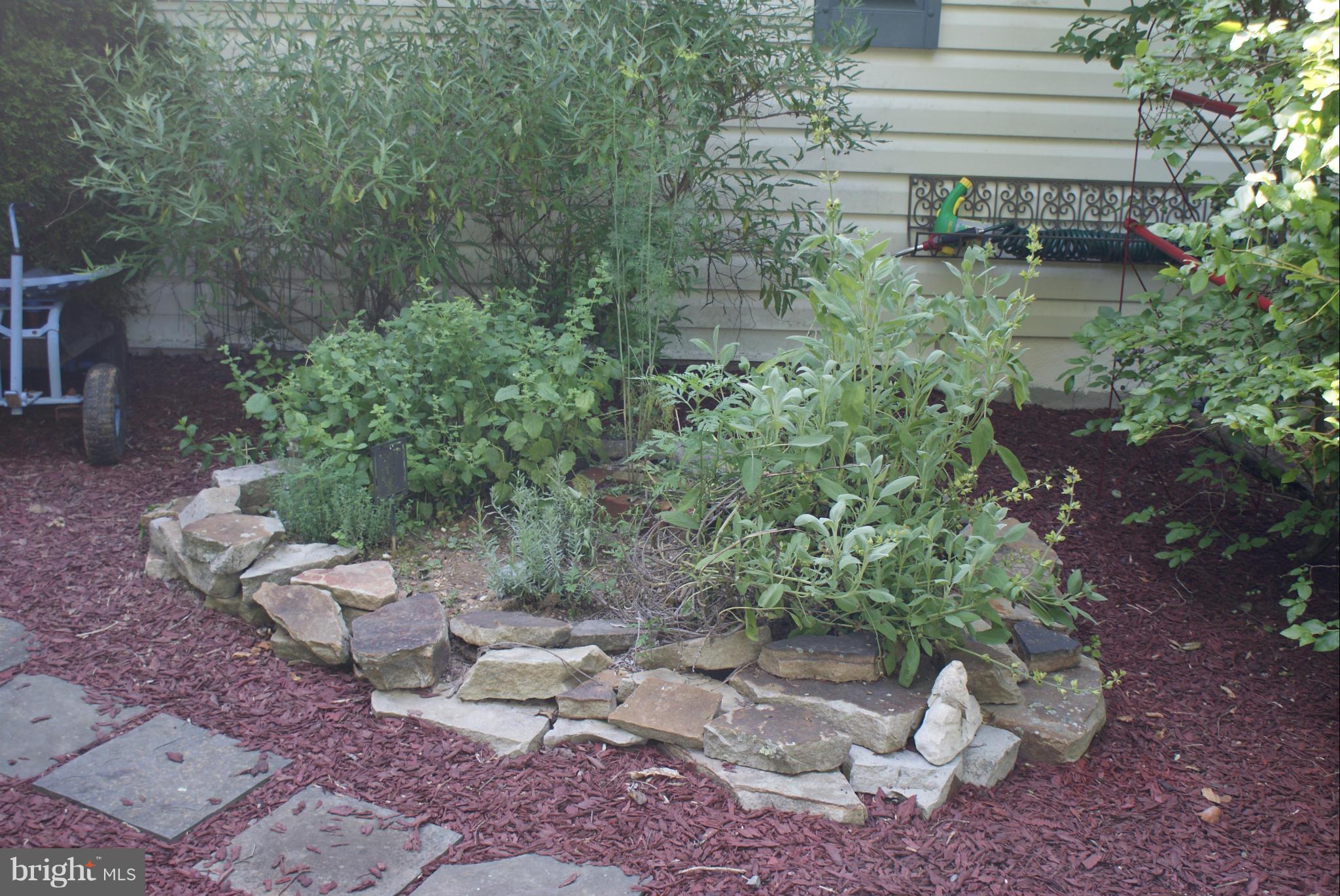Herb Garden