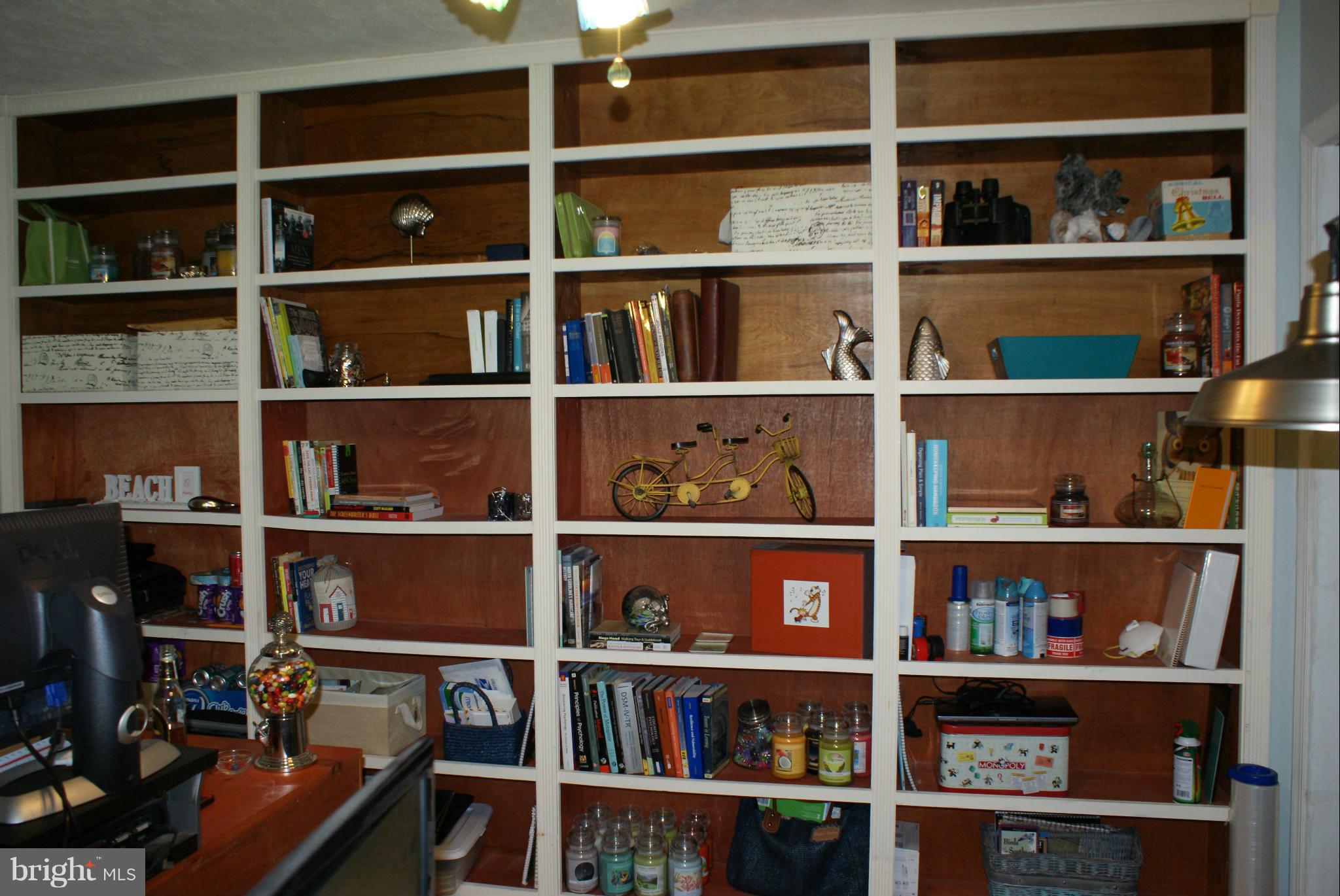 Built-In Shelves