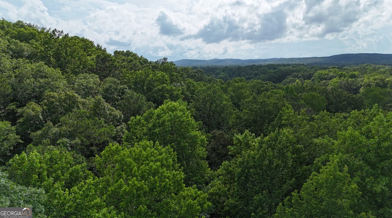0 Forest Glen Road, Unit A Sylacauga, AL 35151 - Photo 3 of 65