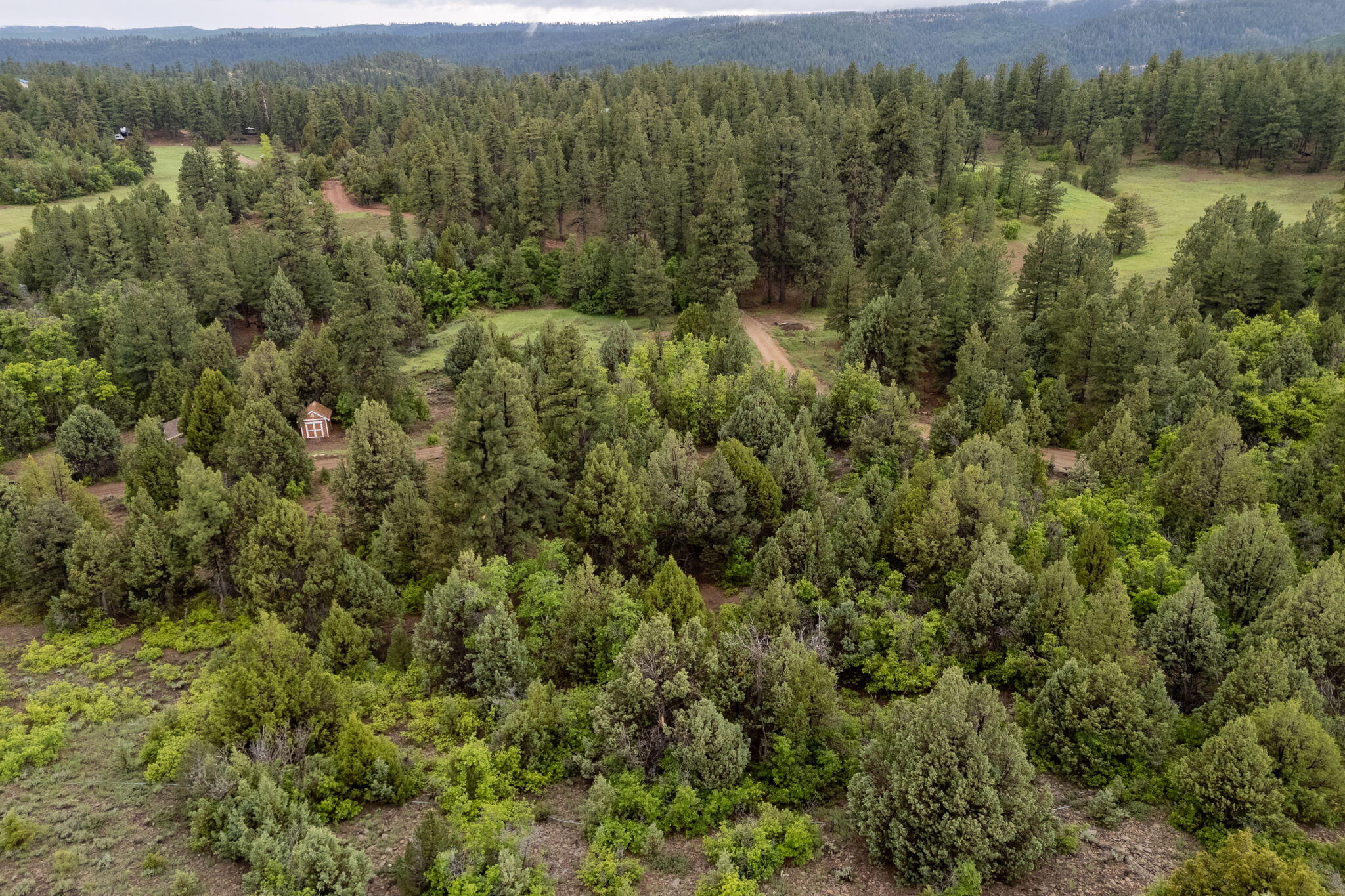 2657 East Oak Tree Trail, Unit 22 Springdale, UT 84767 - Photo 8 of 15 8-web-or-mls-Oak Tree Lot - www.aspencre