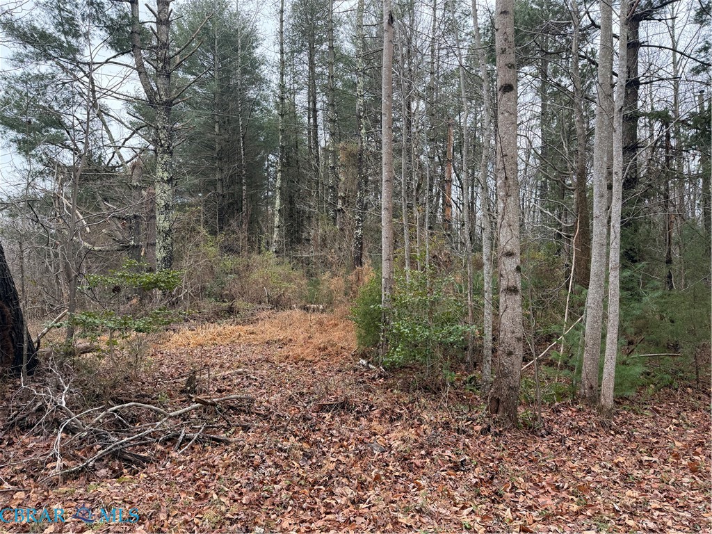 Lot 22-31 Iberis Road Lancaster, VA 22503 - Photo 2 of 3