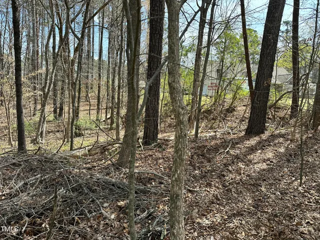 a view of a yard with lots of trees