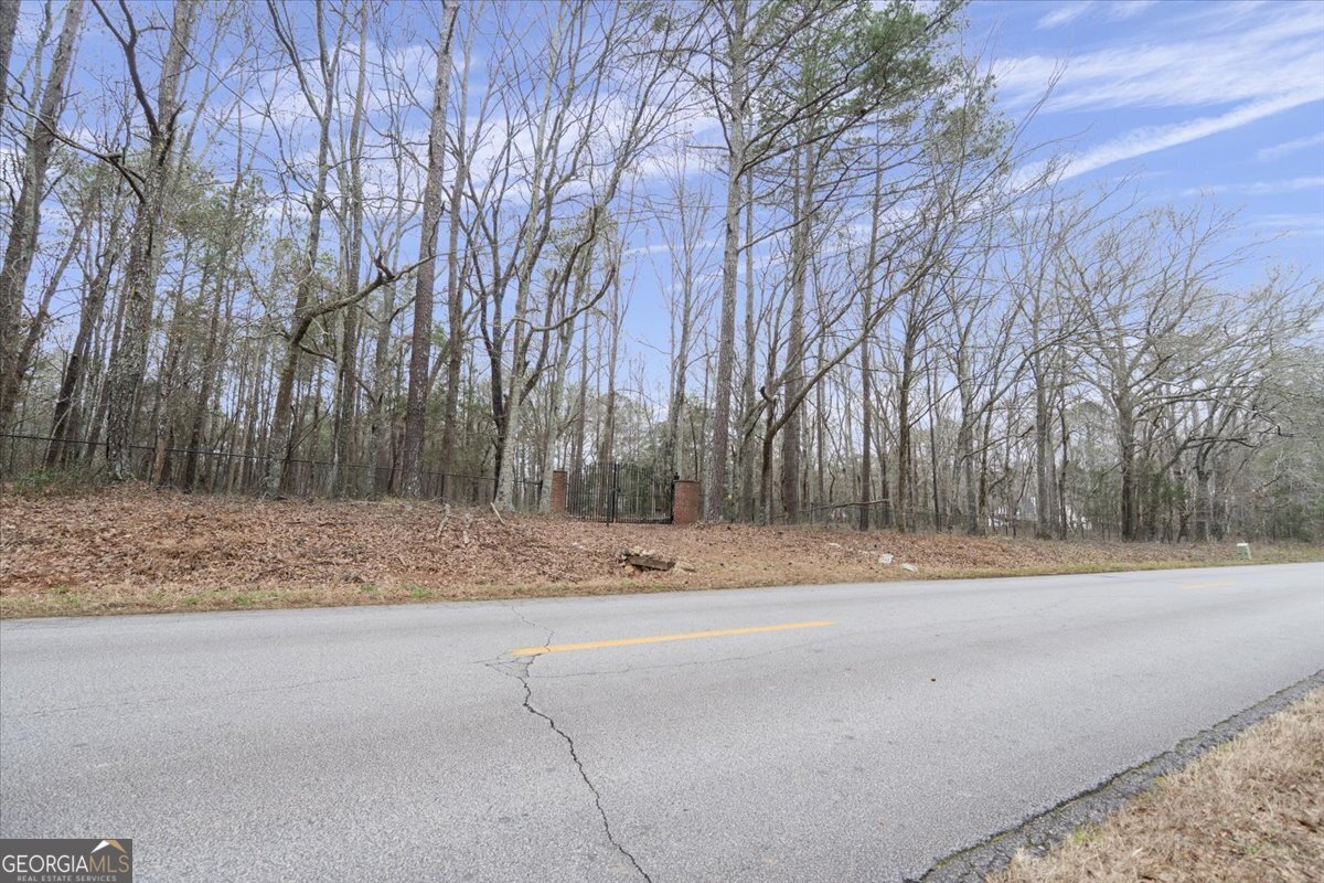 2040 Wynbrooke Place Madison, GA 30650 - Photo 45 of 60 a view of dirt yard with a large tree