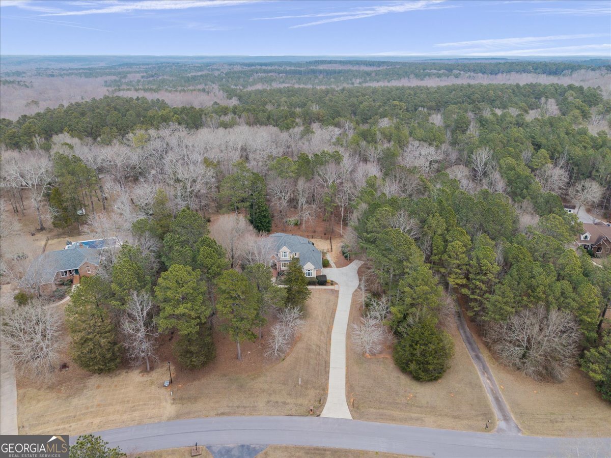 2040 Wynbrooke Place Madison, GA 30650 - Photo 48 of 60 an aerial view of forest