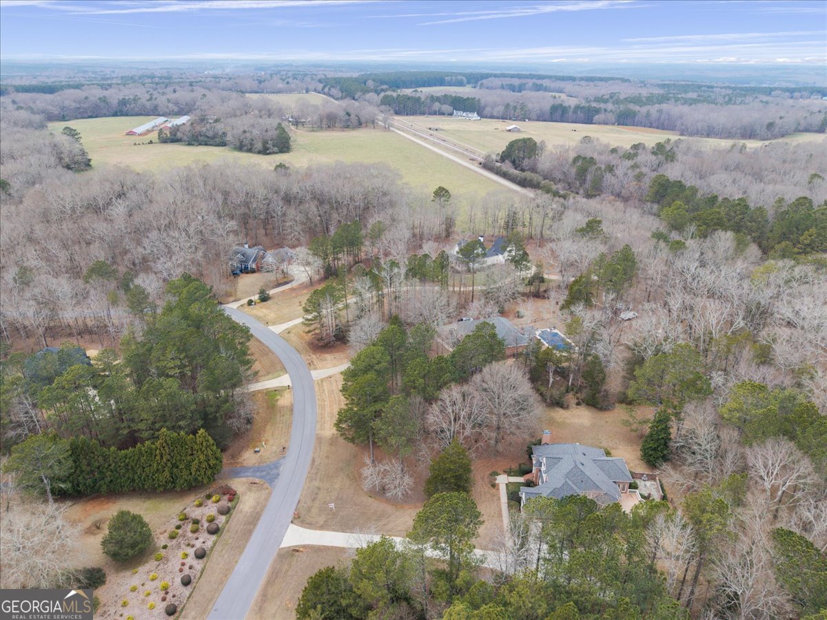 2040 Wynbrooke Place Madison, GA 30650 - Photo 49 of 60 an aerial view of a house with a yard