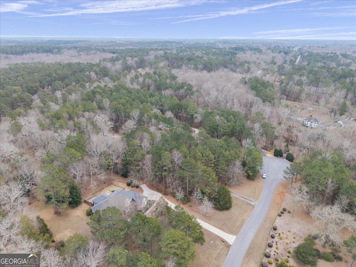 2040 Wynbrooke Place Madison, GA 30650 - Photo 50 of 60 a view of a yard with an outdoor space