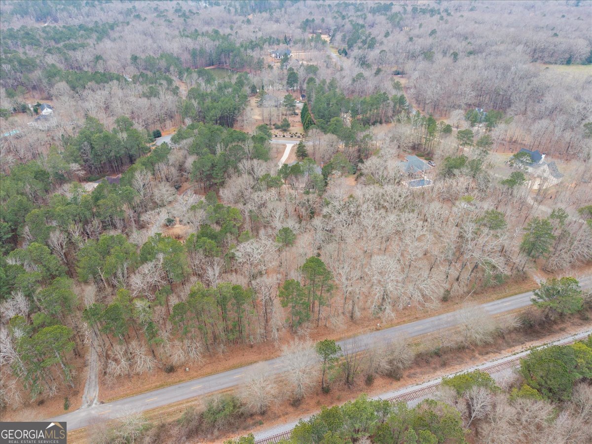 2040 Wynbrooke Place Madison, GA 30650 - Photo 52 of 60 a view of a yard