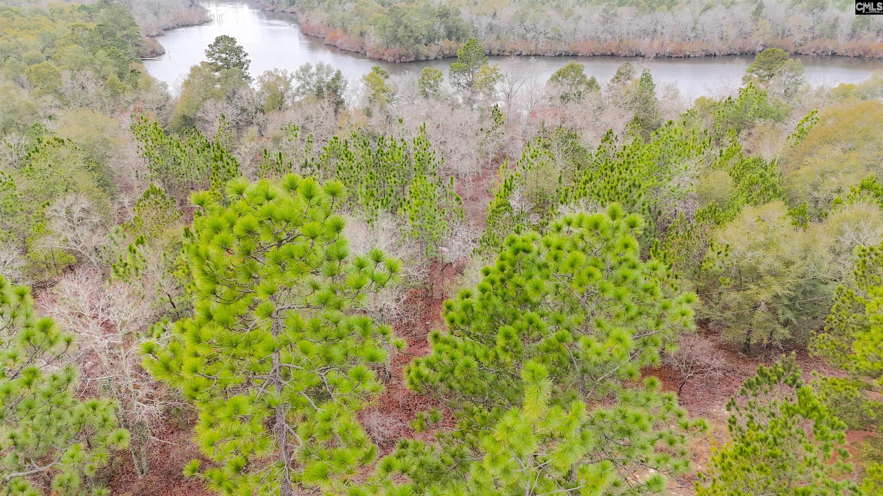 0 Browns Pond Road Salley, SC 29137 - Photo 2 of 4