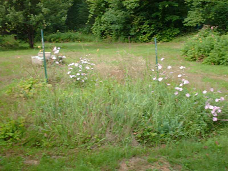 44 Reed's Mill Road Madrid Township, ME 04966 - Photo 18 of 23 Exterior Front.