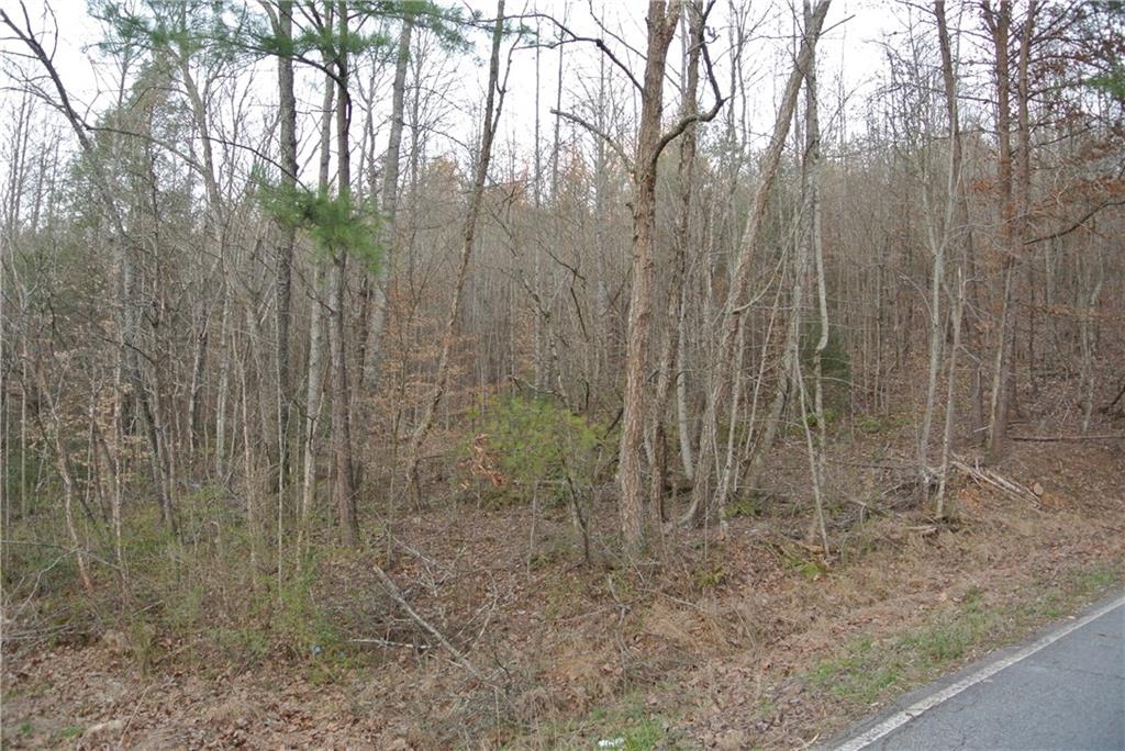 0 Jess Hunt Tract 12 Road Cleveland, GA 30528 - Photo 1 of 1 Gallery Image 1