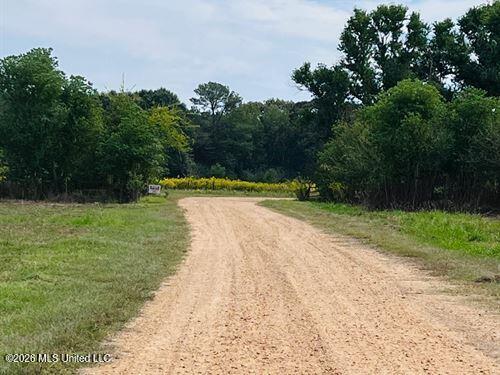 1097 Montgomery Road Southwest Bogue Chitto, MS 39629 - Photo 3 of 38 1097M3