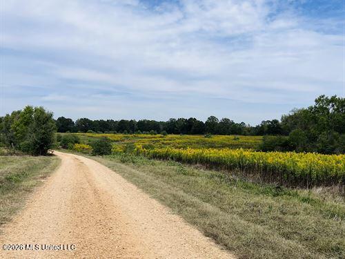 1097 Montgomery Road Southwest Bogue Chitto, MS 39629 - Photo 37 of 38 1097M39