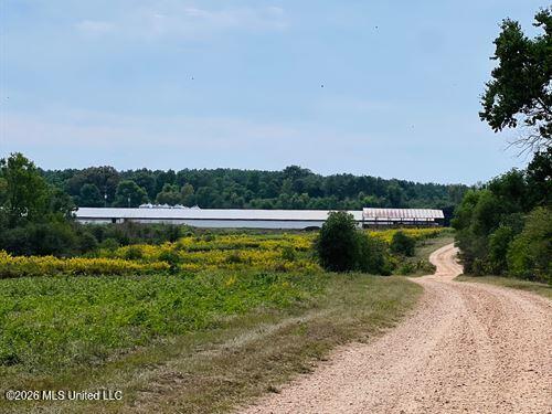 1097 Montgomery Road Southwest Bogue Chitto, MS 39629 - Photo 4 of 38 1097M4
