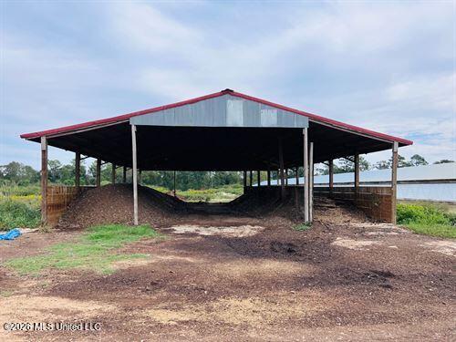 1097 Montgomery Road Southwest Bogue Chitto, MS 39629 - Photo 5 of 38 1097M5