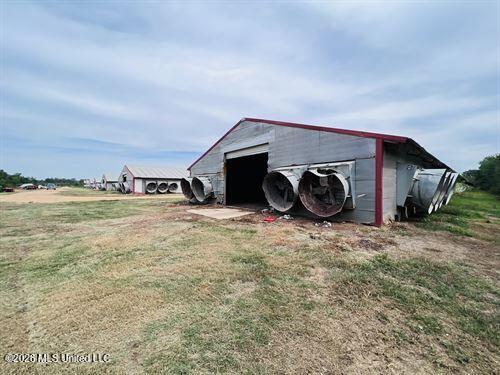 1097 Montgomery Road Southwest Bogue Chitto, MS 39629 - Photo 6 of 38 1097M6