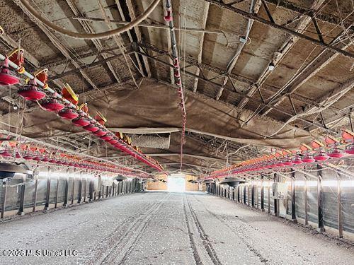 1097 Montgomery Road Southwest Bogue Chitto, MS 39629 - Photo 7 of 38 1097M7