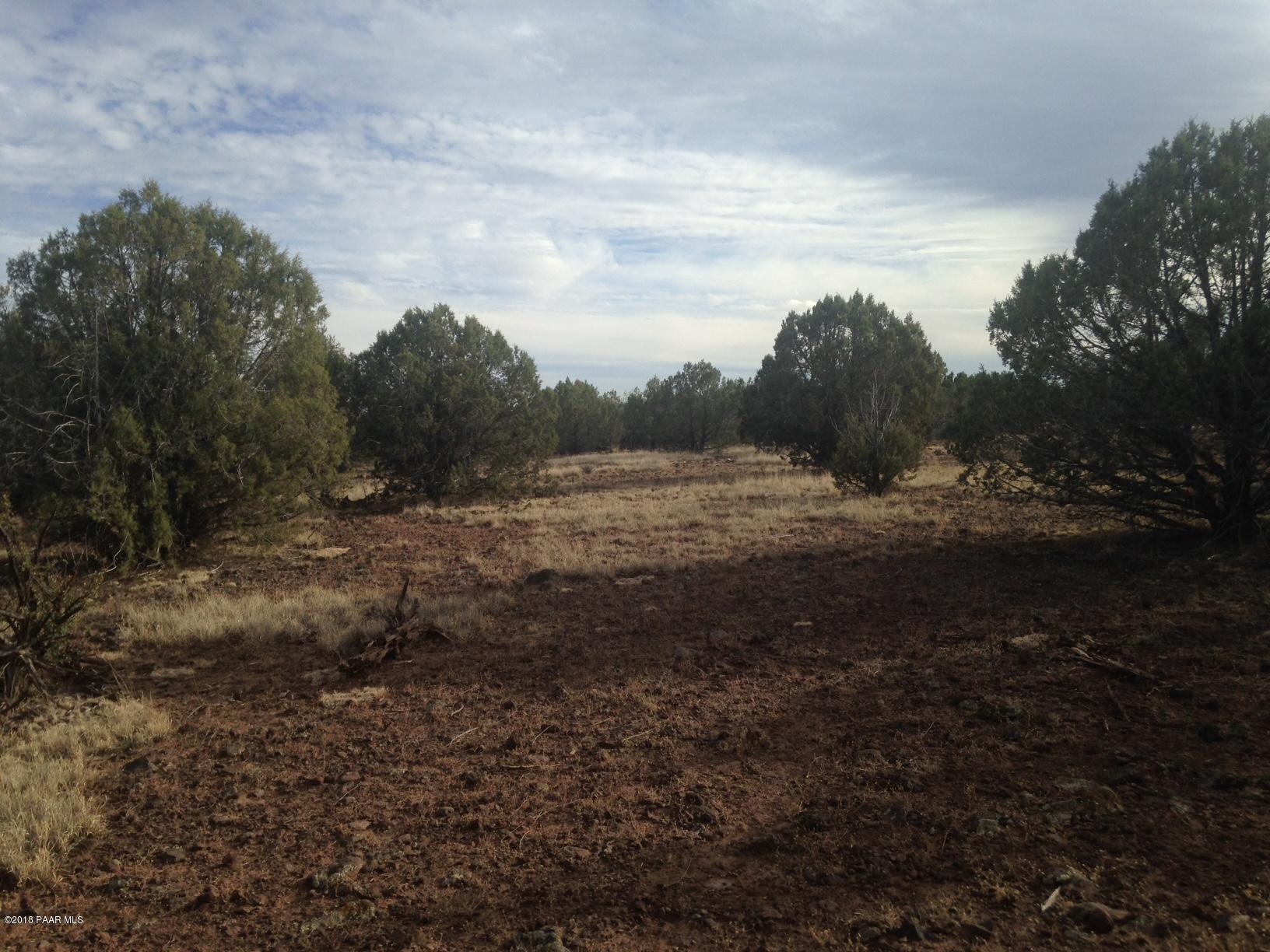 302 2 Rut Road Ash Fork, AZ 86320 - Photo 8 of 10 IMG_4713