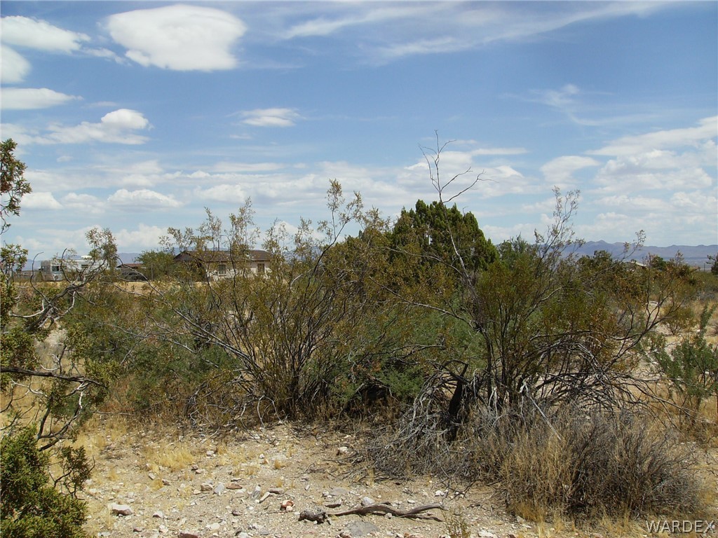 1822 Gisela Road Golden Valley, AZ 86413 - Photo 41 of 42