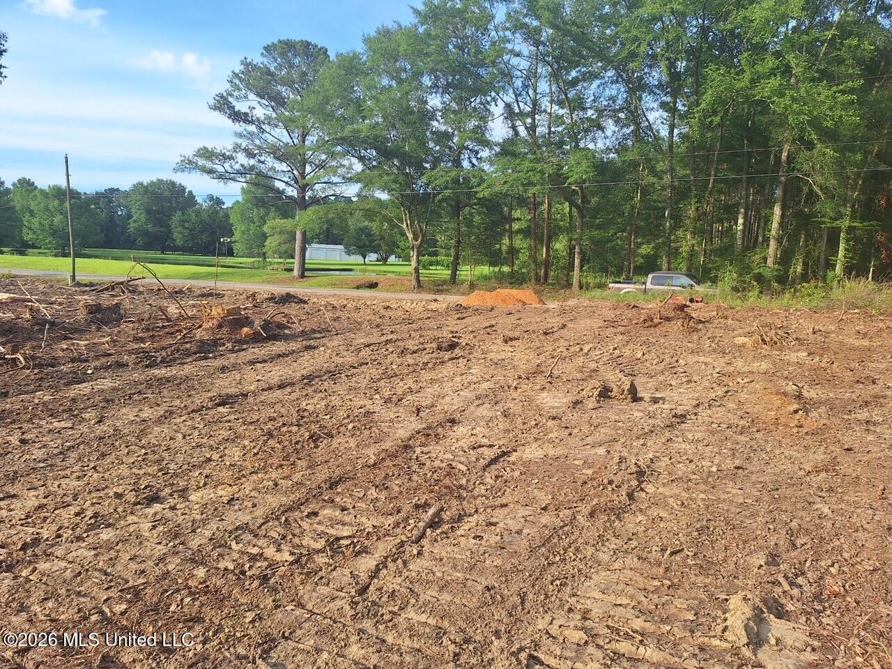709 Old Pinola Braxton Road Braxton, MS 39044 - Photo 17 of 19 6855591140173404185