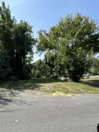 a view of a swimming pool with a yard