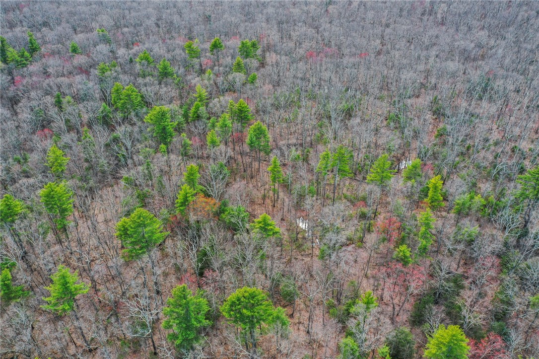614 Round Top Road Burrillville, RI 02830 - Photo 32 of 33