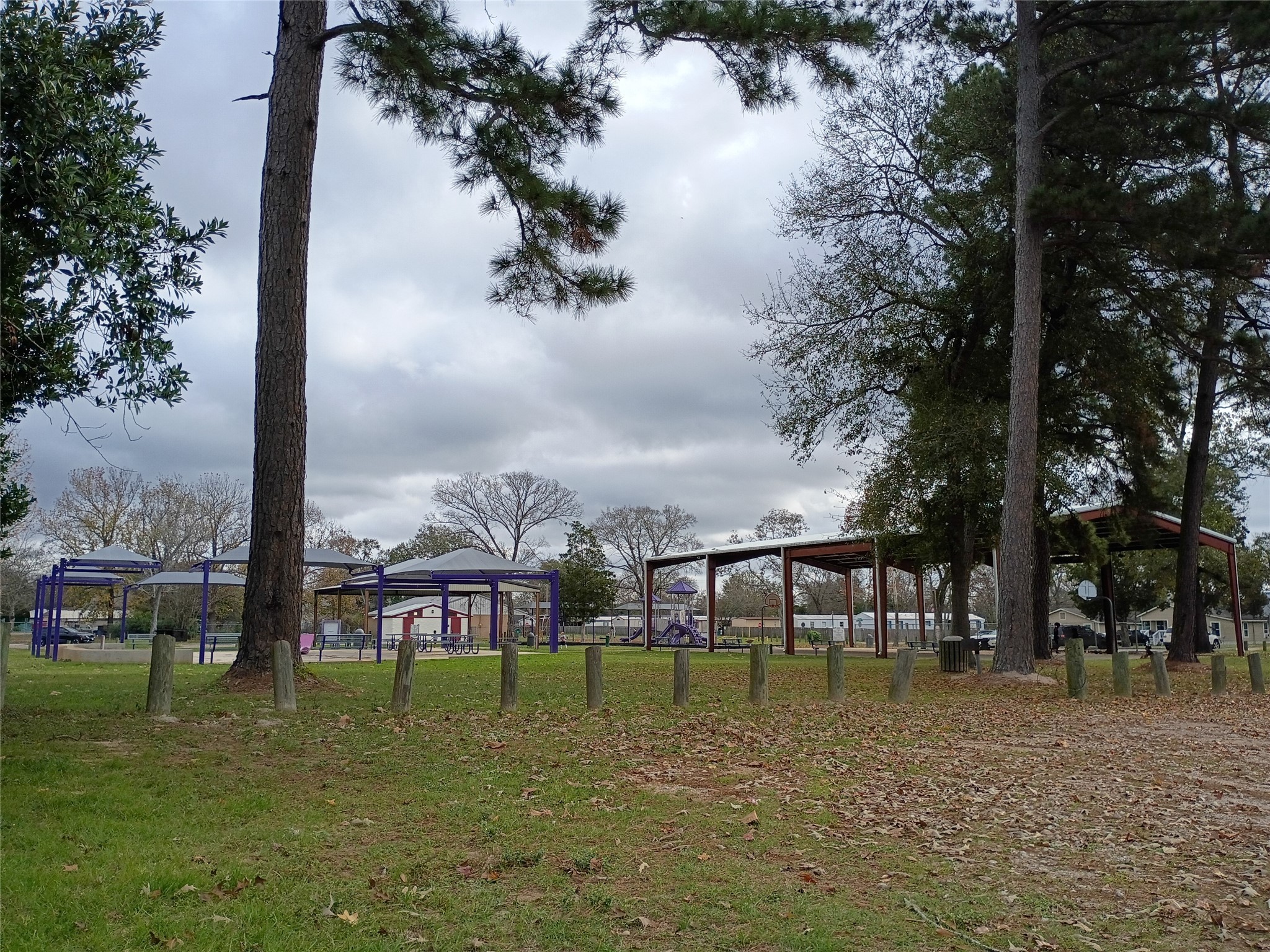 Tbd Young Street Willis, TX 77378 - Photo 8 of 12 a view of swimming pool with a yard and seating area