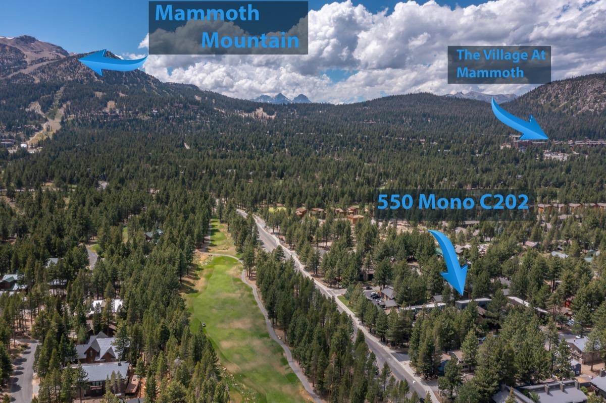 a view of a street with a building in the background