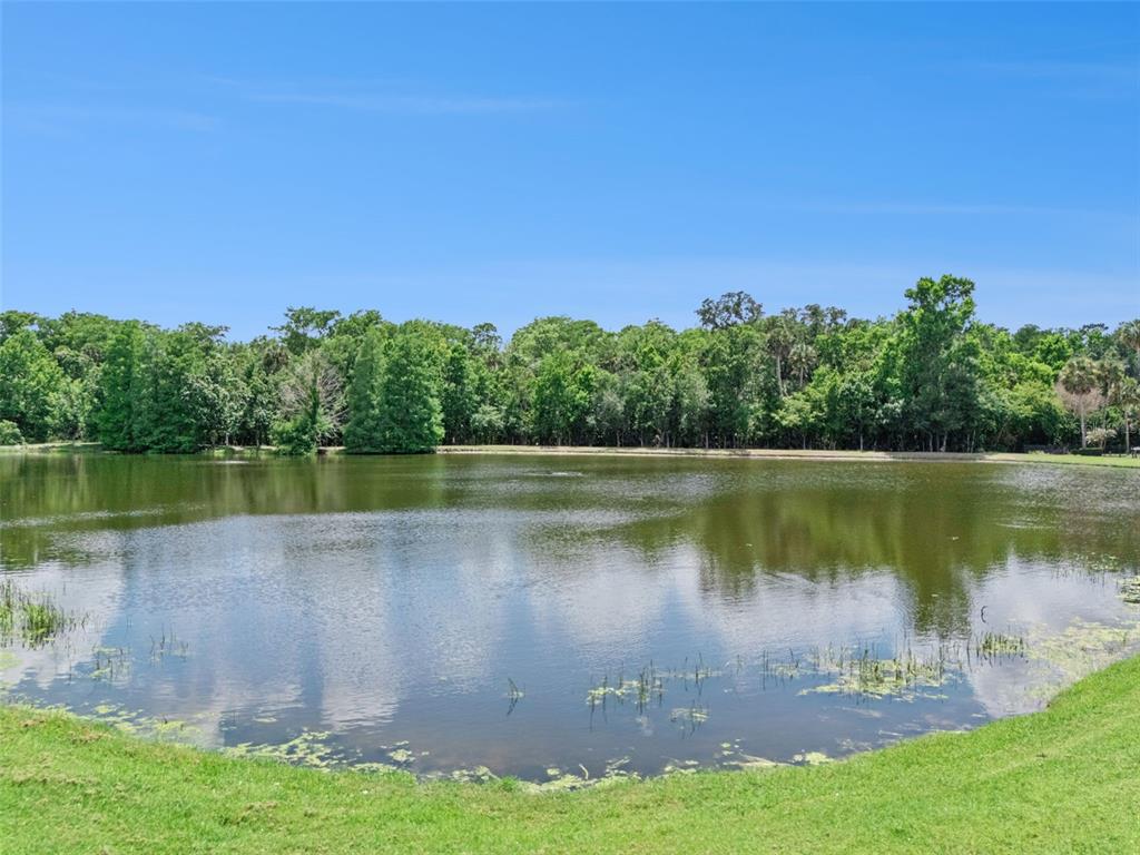 930 Croton Road Celebration, FL 34747 - Photo 51 of 59