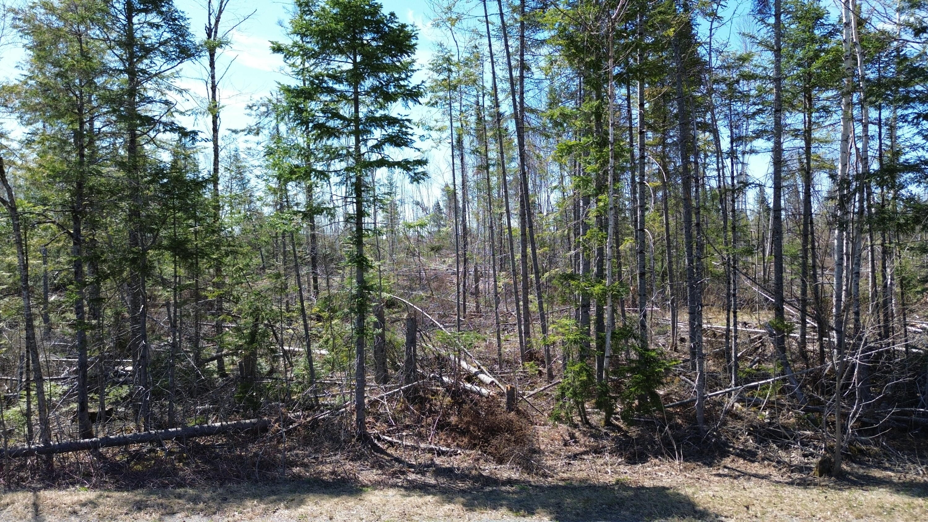 1-31c B Road Houlton, ME 04730 - Photo 4 of 4 DJI_0200