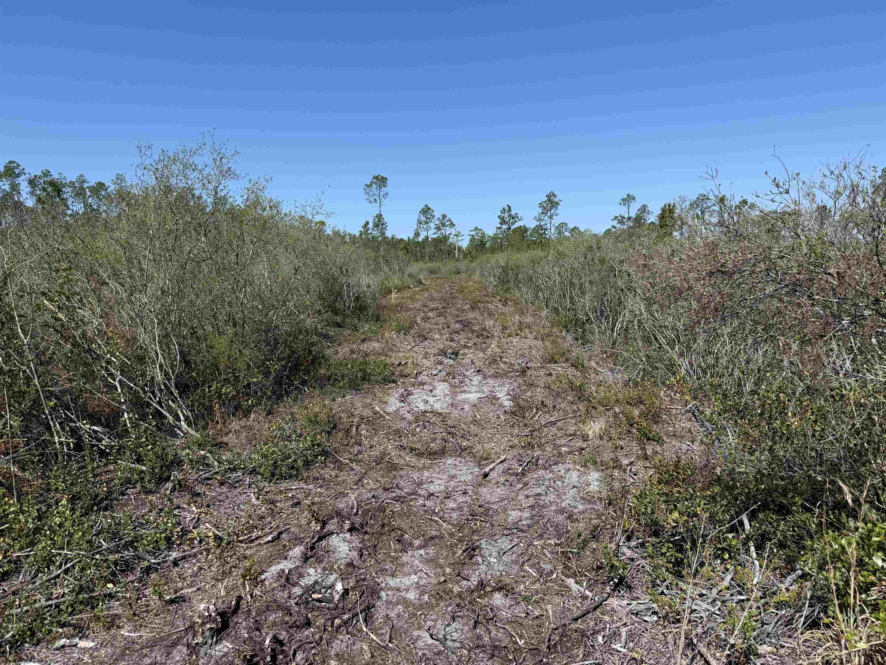 0 Madison Main Line Road Perry, FL 32347 - Photo 22 of 50